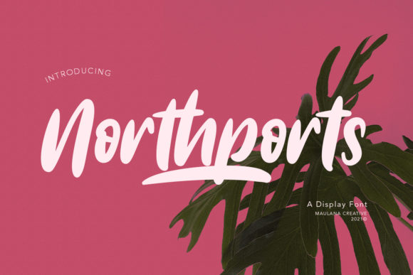 Northports: A Playful Display Font for Bold Campaigns
