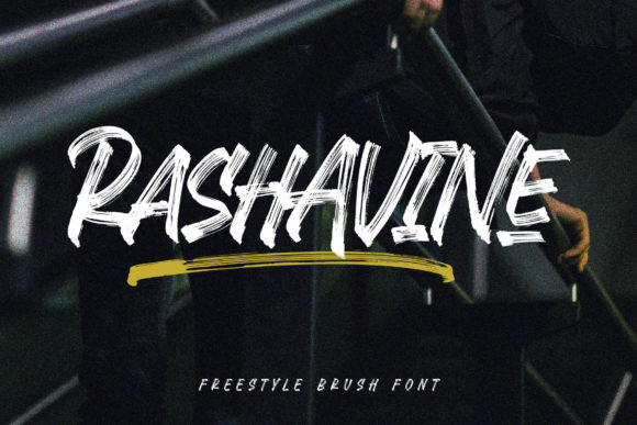 Testing Rashavine for a Modern Web Design Project